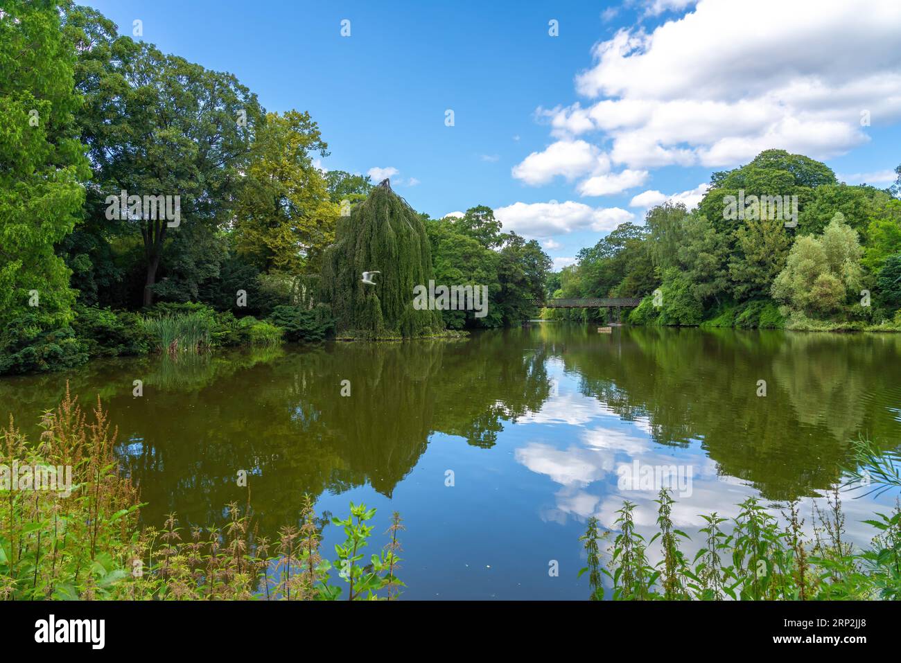 Orsted Park - Copenhagen, Denmark Stock Photo