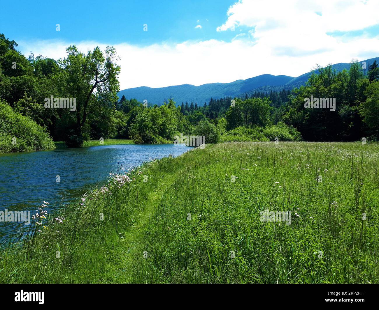 Javornik hills hi-res stock photography and images - Alamy
