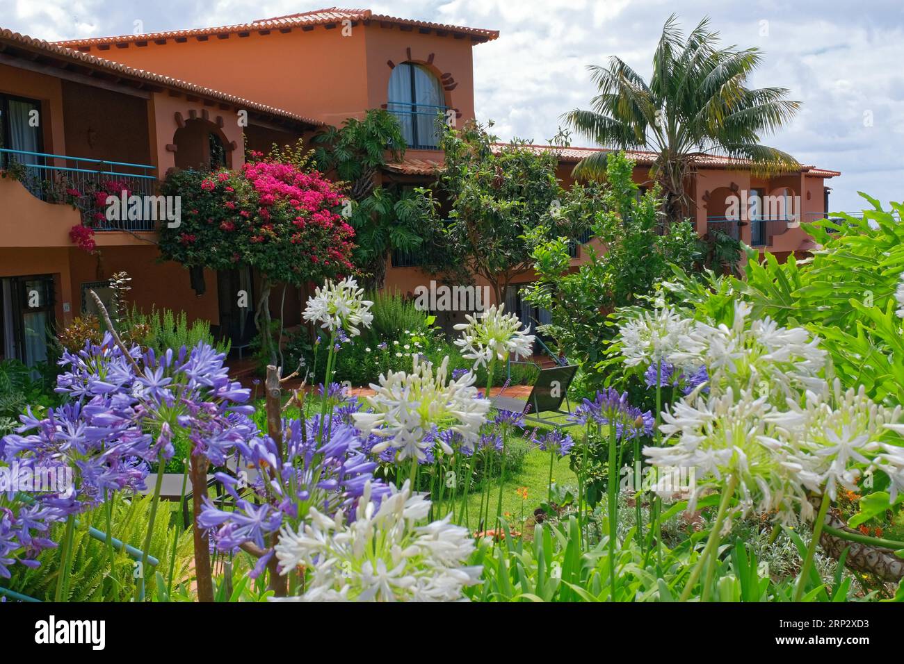 Quinta Splendida, Agapanthus, Bouganvillia, Palm, Hotel, Madeira Island Stock Photo