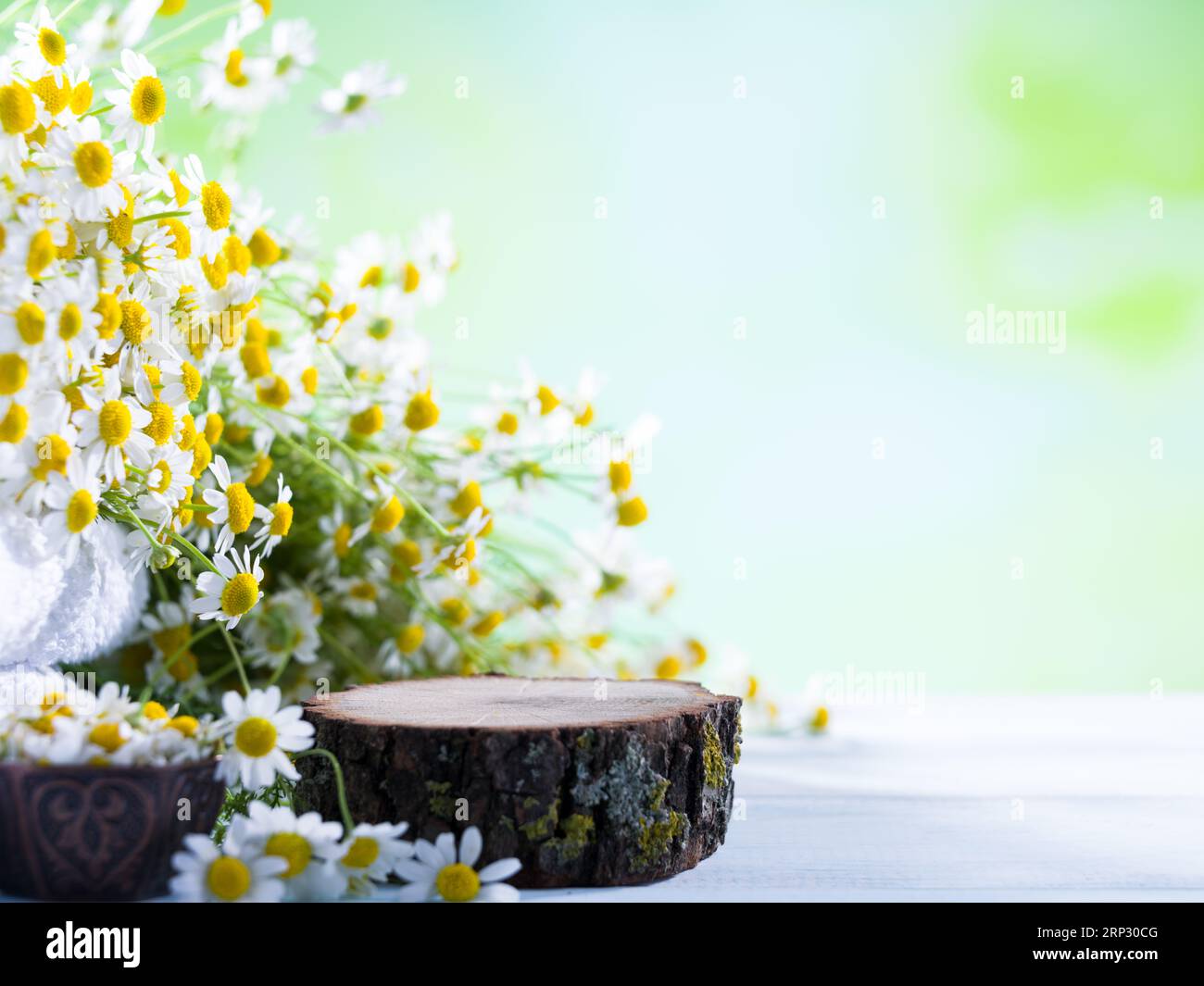 Empty piece of tree stump with daisy flowers on wooden table top. Empty presentation board for product placement. Stock Photo