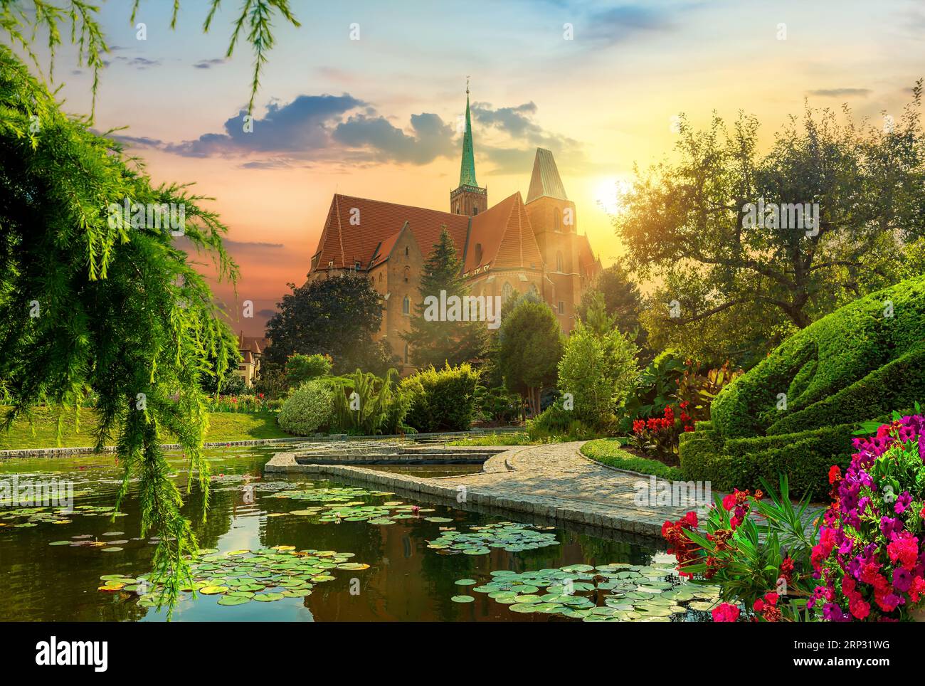 Botanical garden of Wroclaw. View of the cathedral and the lake with lotuses Stock Photo