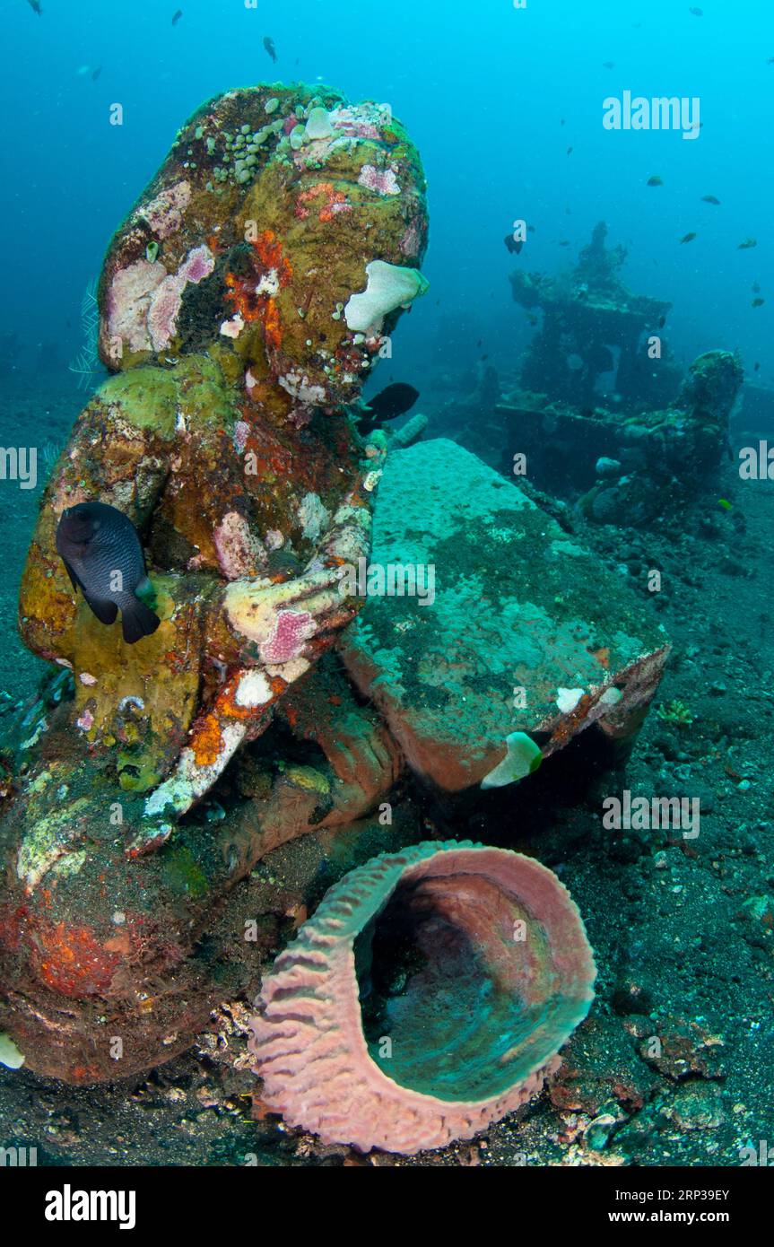 Barrel Sponge, Xestospongia testudinaria, on Buddha statue, Coral Garden dive site, Seraya, Karangasem, Bali, Indonesia Stock Photo