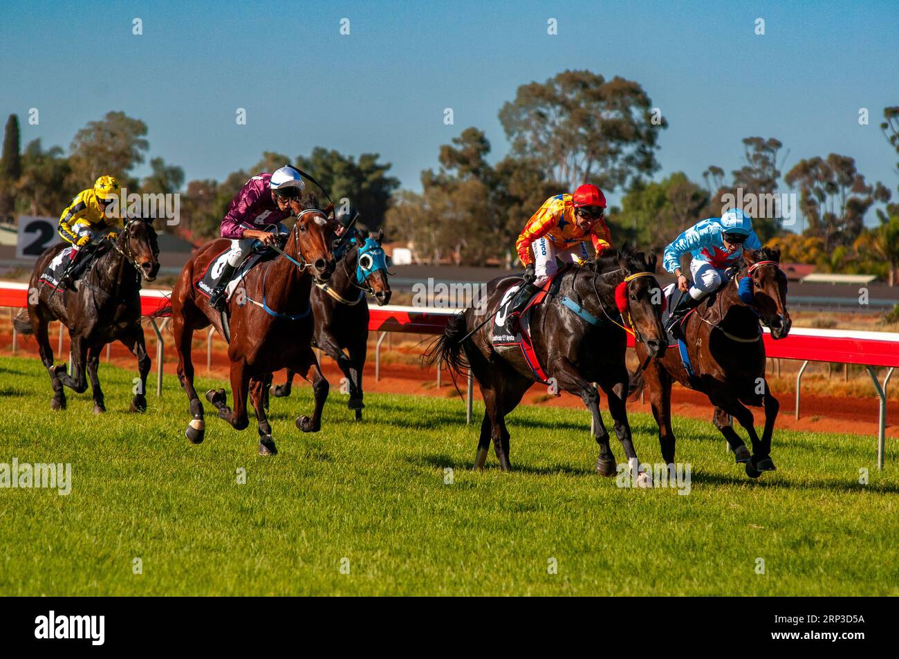 Horse racing, Kalgoorlie Boulder Racing Club, Western Australia Stock