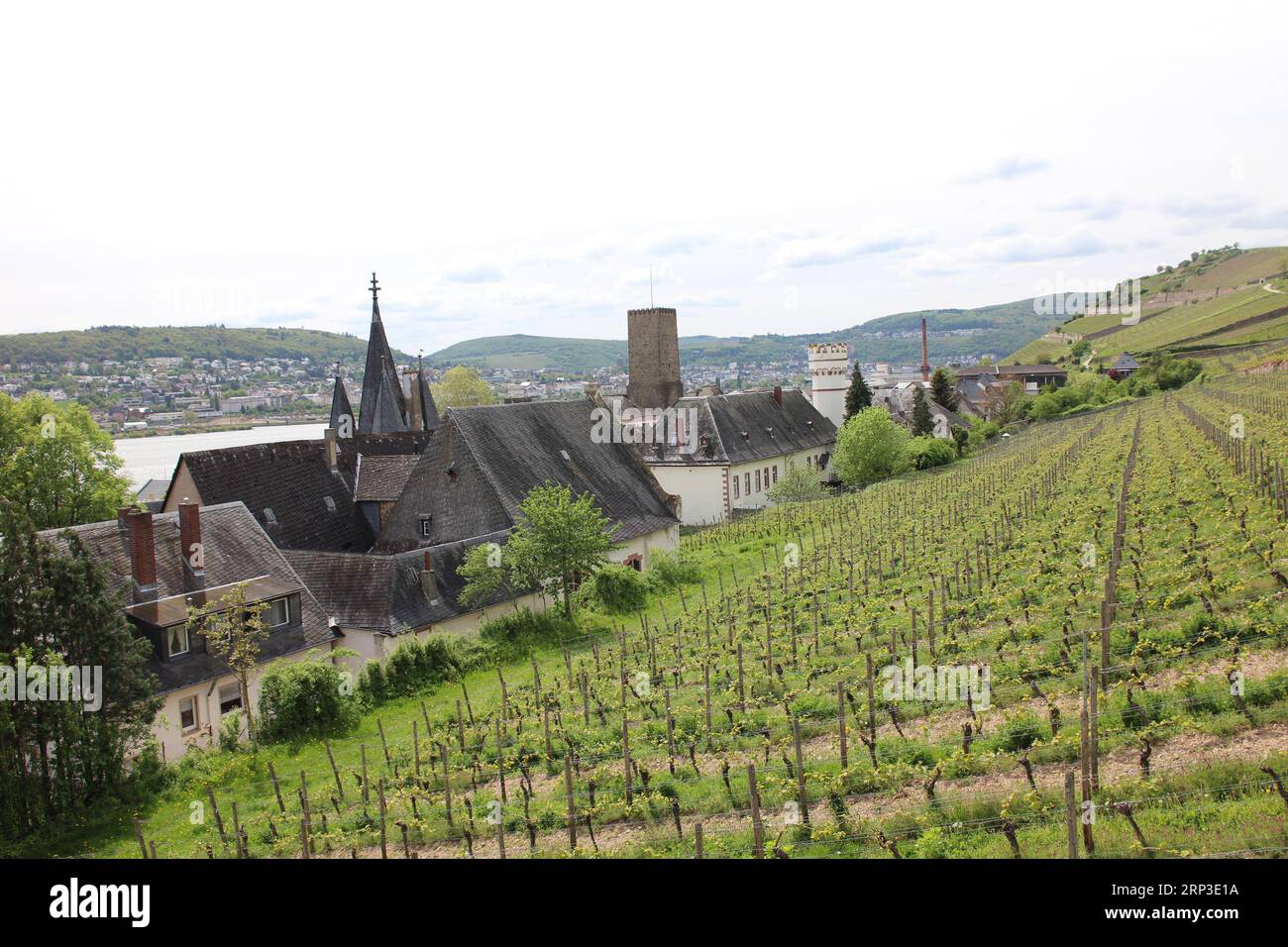 Panorama of old town and vineyards in Rüdesheim am Rhein, Germany Stock ...