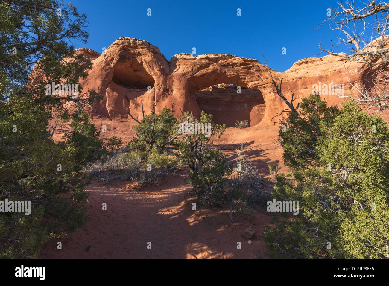 Tapestry arch arches national park hi res stock photography and