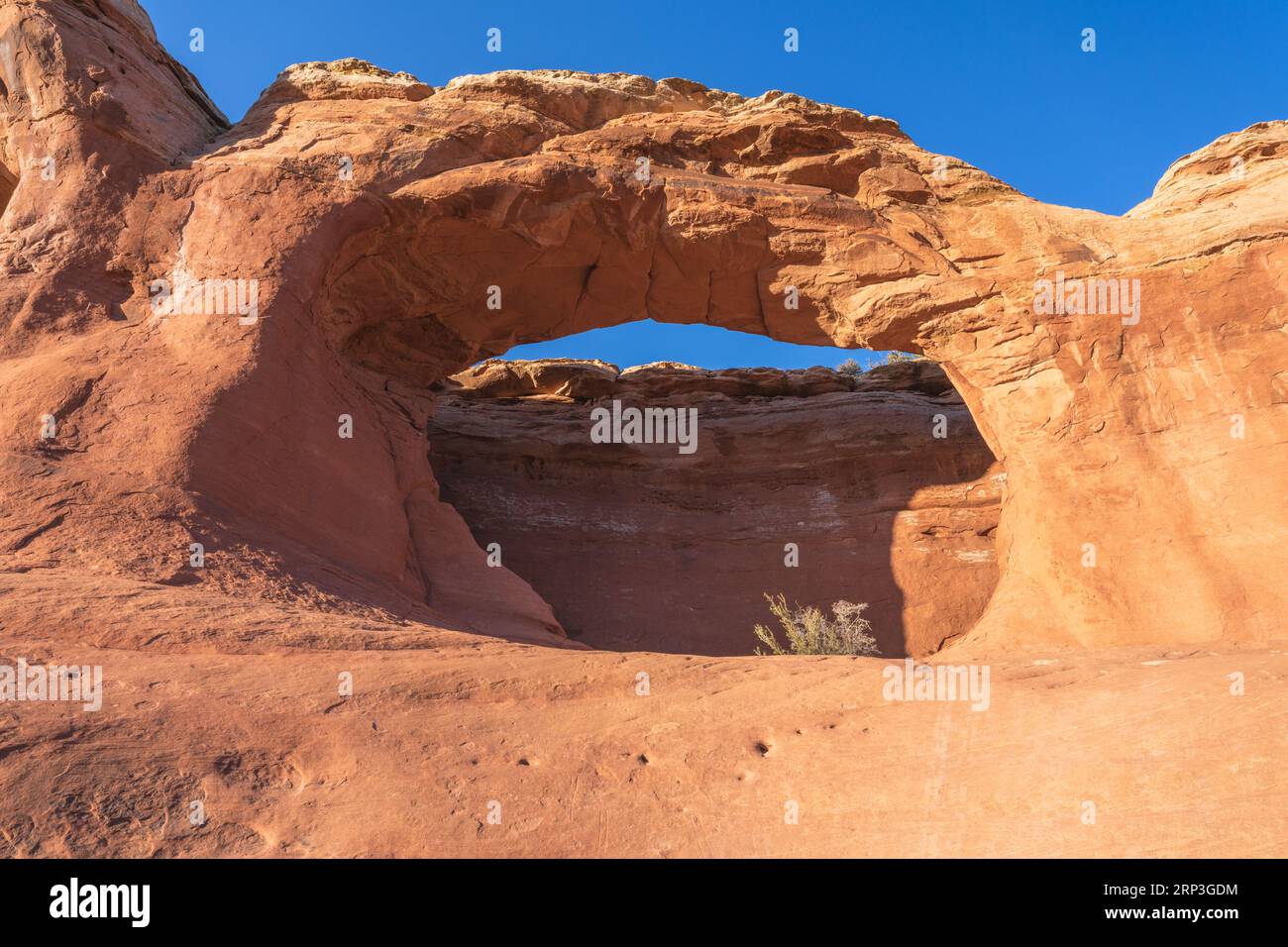 Tapestry arch arches national park new arrivals