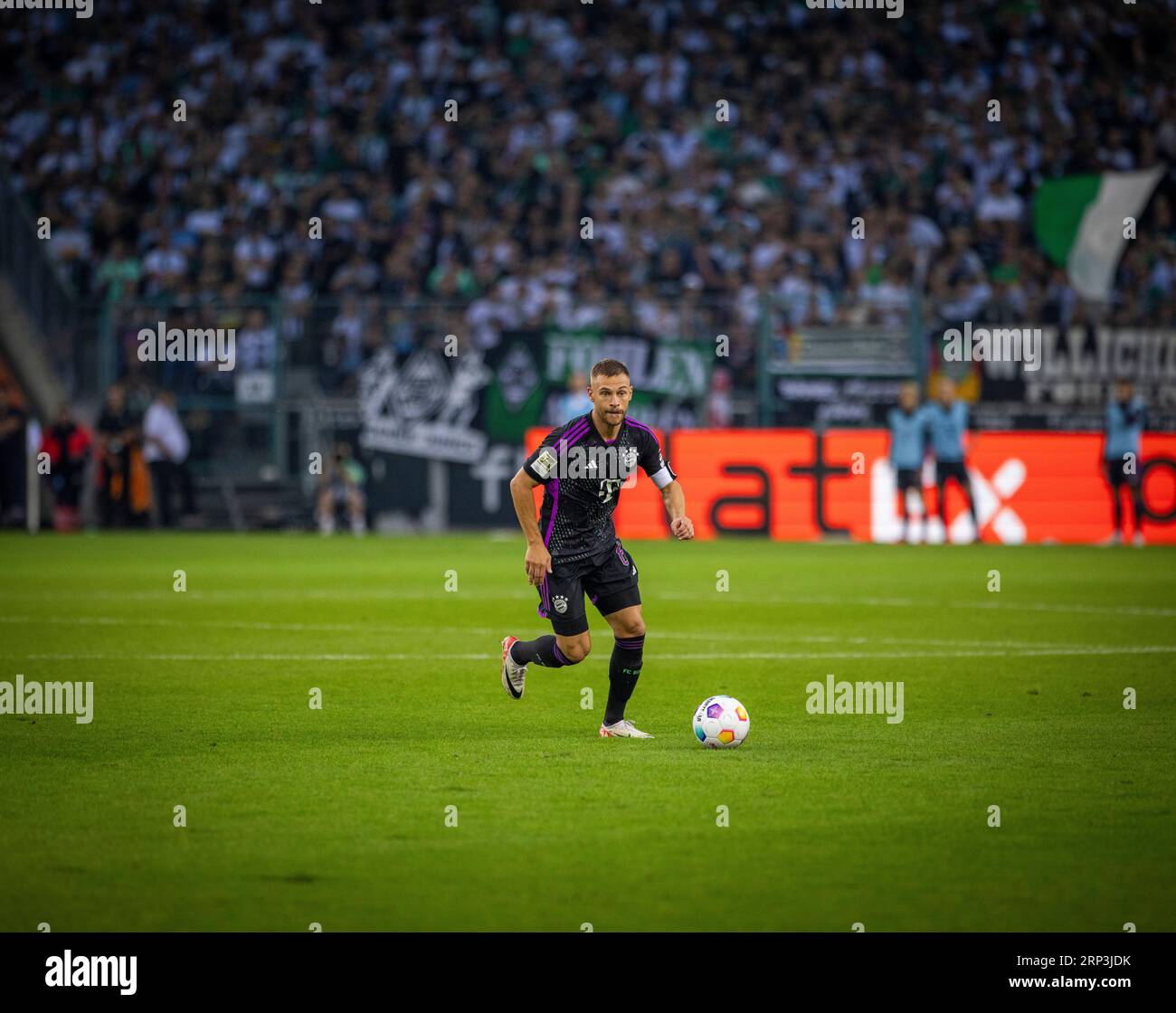 Joshua kimmich hi-res stock photography and images - Page 16 - Alamy