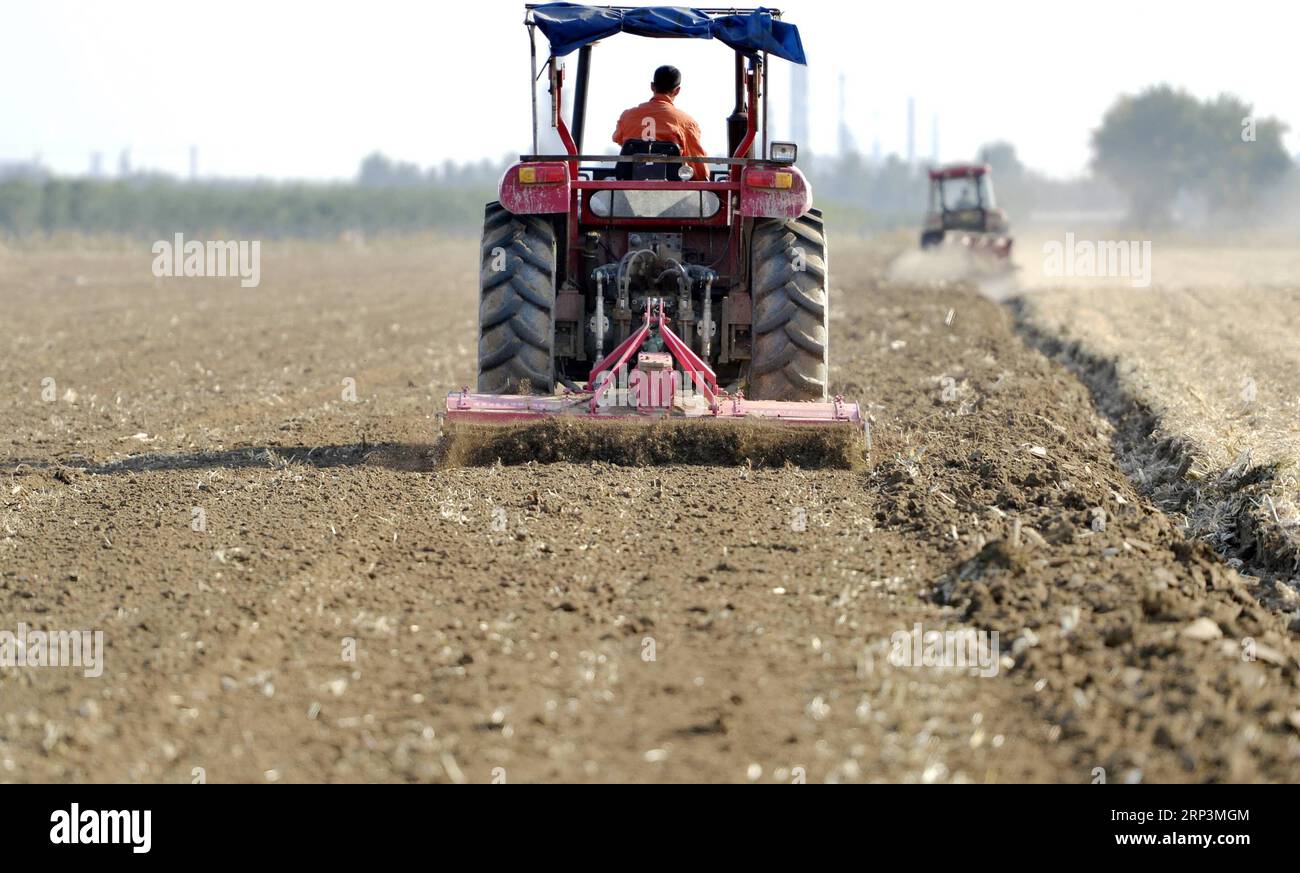 (181011) -- XINGTAI, Oct. 11, 2018 -- A farmer operates an agricultural machinery to plow the field in Xingtai, north China s Hebei Province, Oct. 11, 2018. Local farmers are busy with the wheat planting work these days. ) (ry) CHINA-HEBEI-FARMWORK (CN) ZhuxXudong PUBLICATIONxNOTxINxCHN Stock Photo