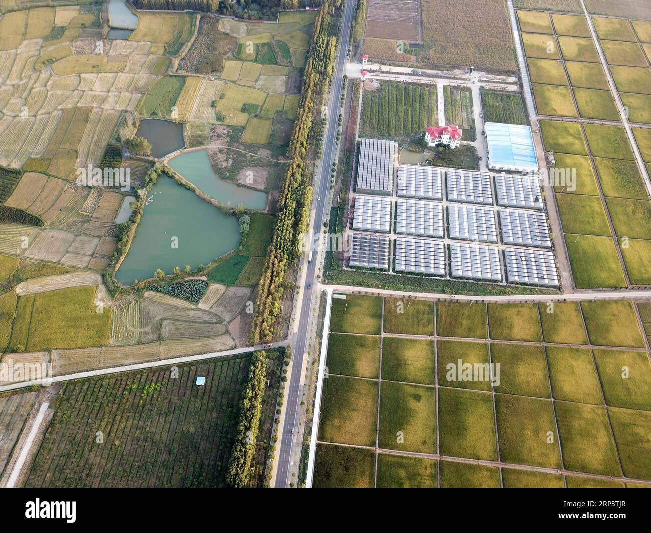 Engyang xaogang hi-res stock photography and images - Alamy