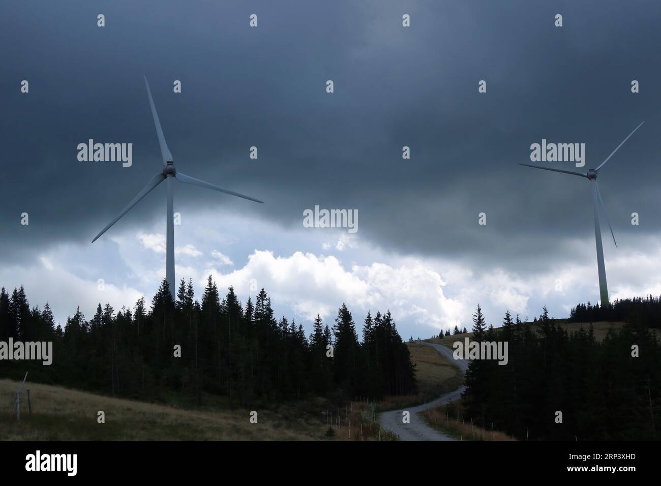 Two Wind turbines with dark clouds in background and pine trees in foreground Stock Photo