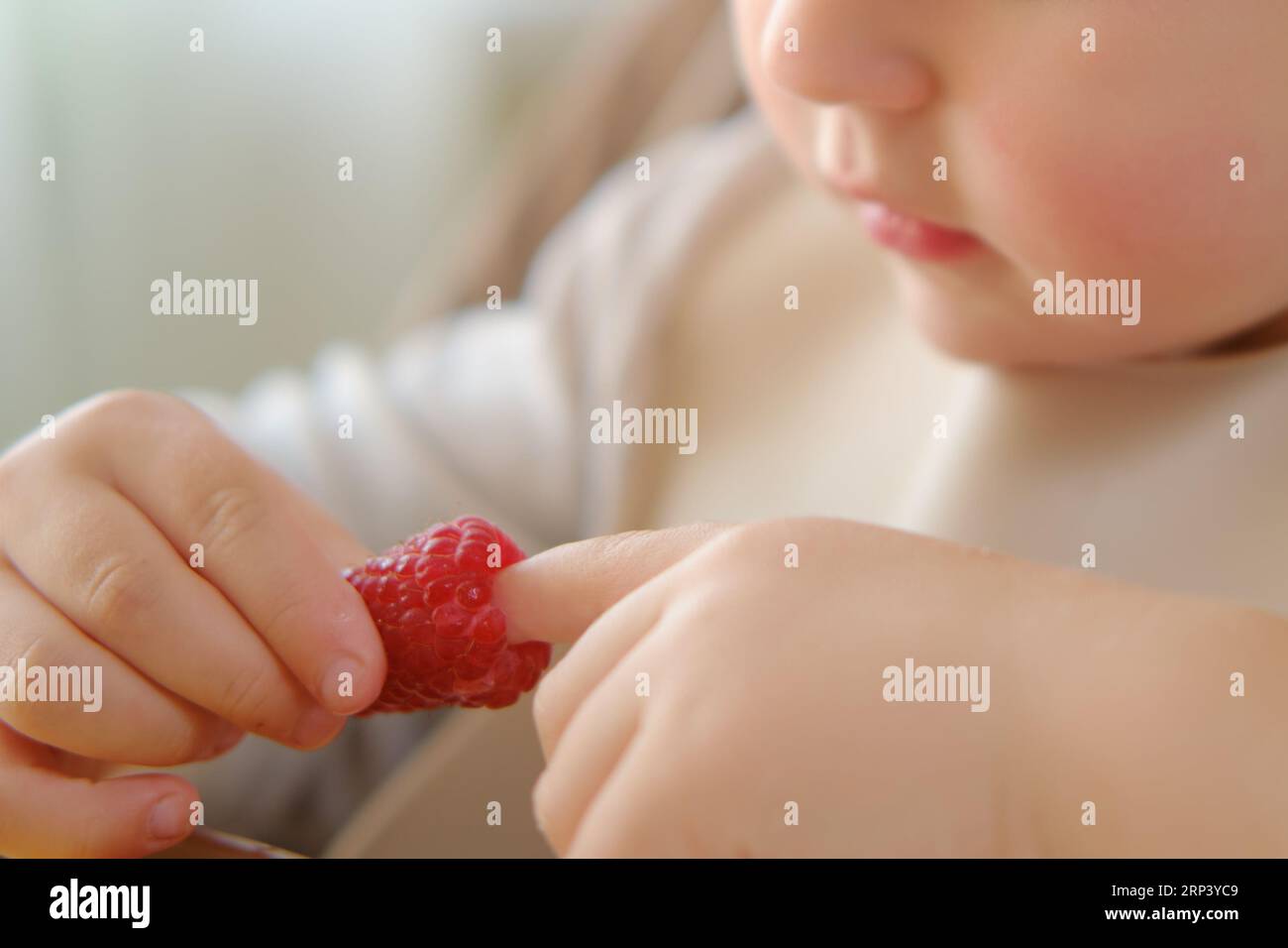 Kid Raspberry The child is sitting at home and enjoying raspberries for a snack. Kid ...