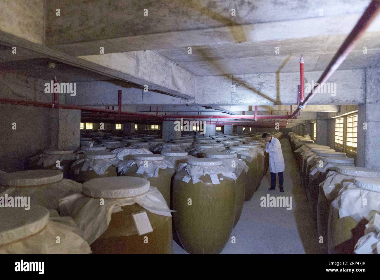 (181029) -- RENHUAI, Oct. 29, 2018 -- A worker checks liquor at a distillery in Maotai town in the city of Renhuai in southwest China s Guizhou Province, Oct. 28, 2018. Maotai is a small town in Renhuai City in mountainous Guizhou. What distinguishes it from other Chinese small towns is that it produces a famous brand of Chinese liquor Moutai, which often served on official occasions and at state banquets. The spirit, made from sorghum and wheat, takes up to five years for the whole production process, involving nine times of steaming, eight times of fermentation and seven times of distillatio Stock Photo