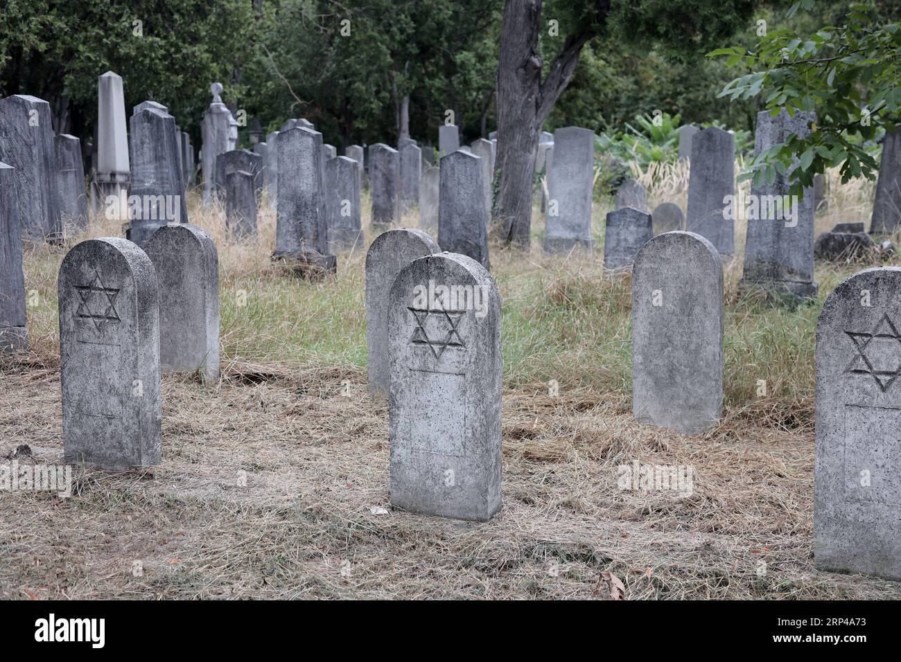 Historical gravestones with Star of David at the old Jewish cemetery of the Vienna Central Cemetery Stock Photo