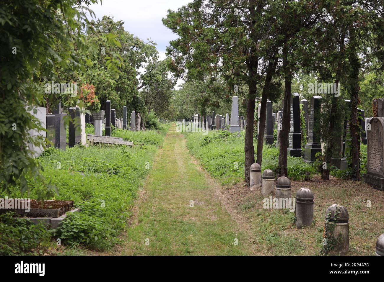 Alley of historic Jewish gravestones in the old Jewish cemetery of the Vienna Central Cemetery (Wiener Zentralfriedhof). The graves are overgrown with Stock Photo