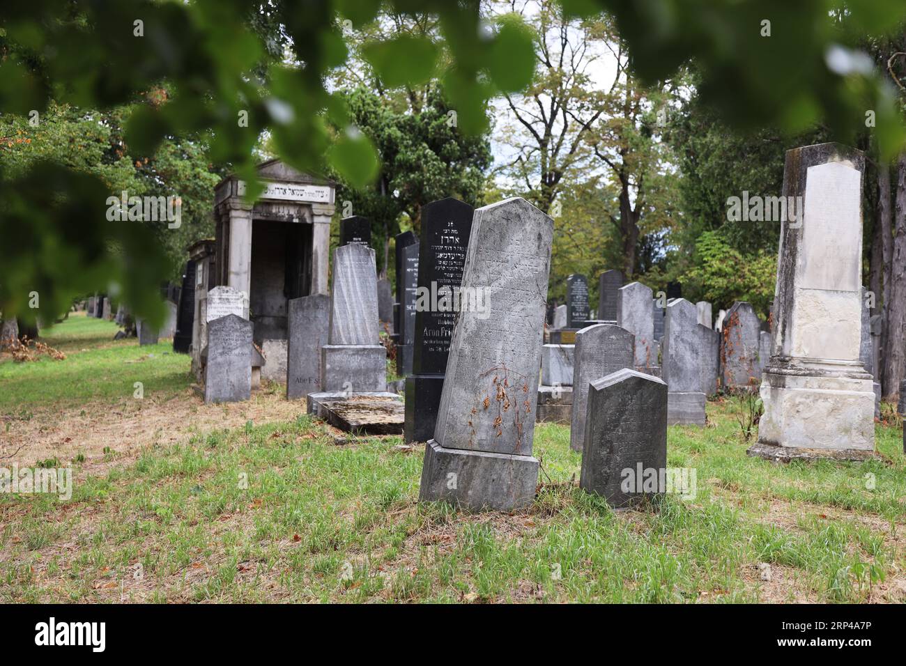 Historic Jewish gravestones in the old Jewish cemetery of the Vienna Central Cemetery (Wiener Zentralfriedhofs). The partly weathered graves are overg Stock Photo