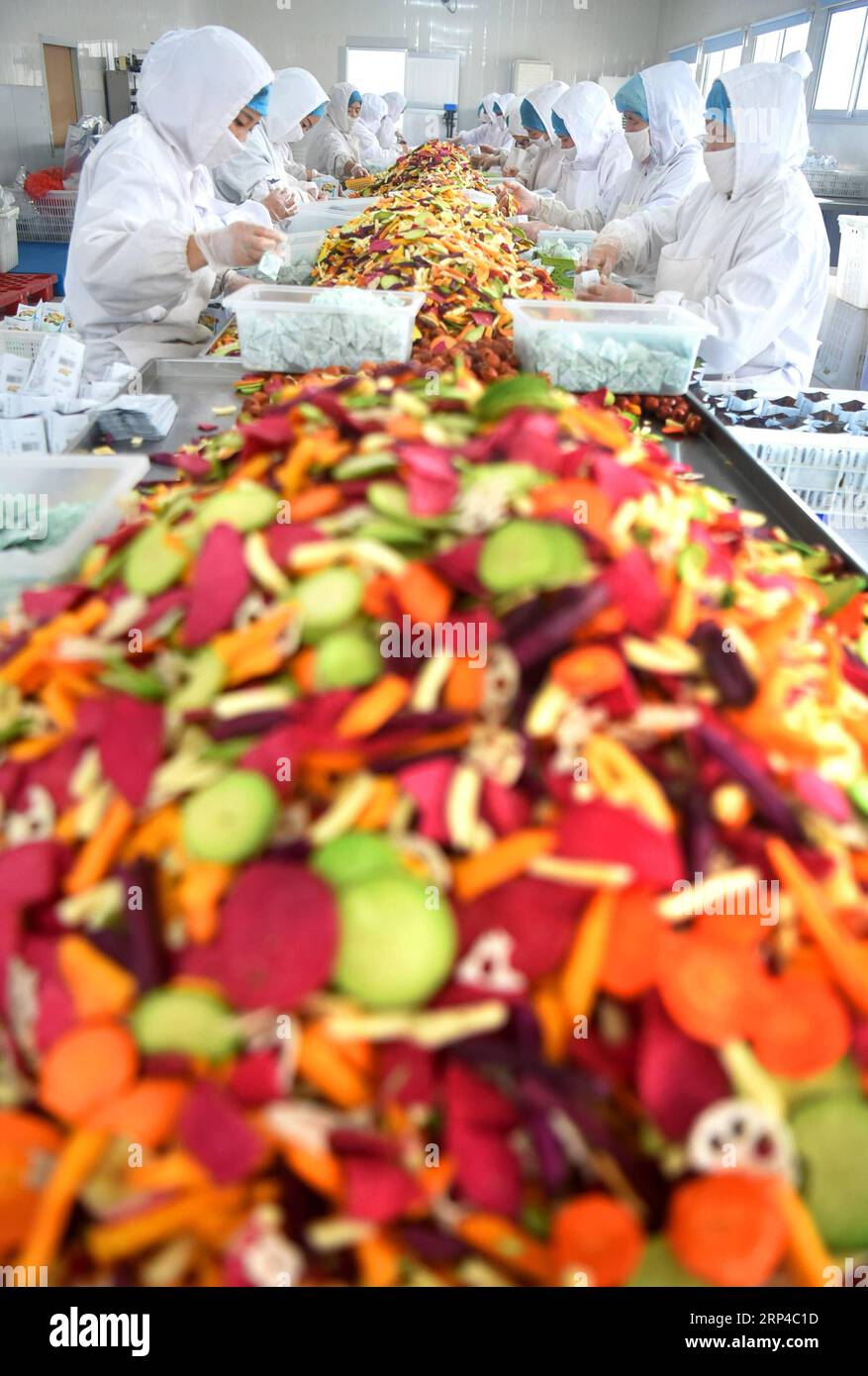 (181104) -- ZIBO, Nov. 4, 2018 -- Workers pack fruit and vegetable products at a private factory of the Yiyuan economic development zone in Yiyuan County of Zibo City, east China s Shandong Province, Nov. 2, 2018. Yiyuan County boosts the environmental friendly and innovative development of private enterprises in recent years. Over 4,000 private enterprises in the county have formed a number of industrial clusters and provided about 40,000 jobs for local people. ) (gxn) CHINA-SHANDONG-PRIVATE ENTERPRISES (CN) ZhaoxDongshan PUBLICATIONxNOTxINxCHN Stock Photo