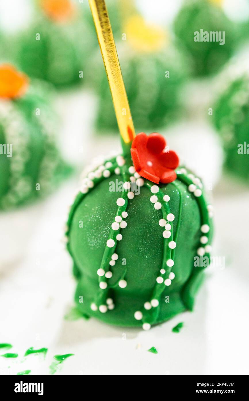 Delicious cactus cake pops for Cinco de Mayo celebration Stock Photo - Alamy