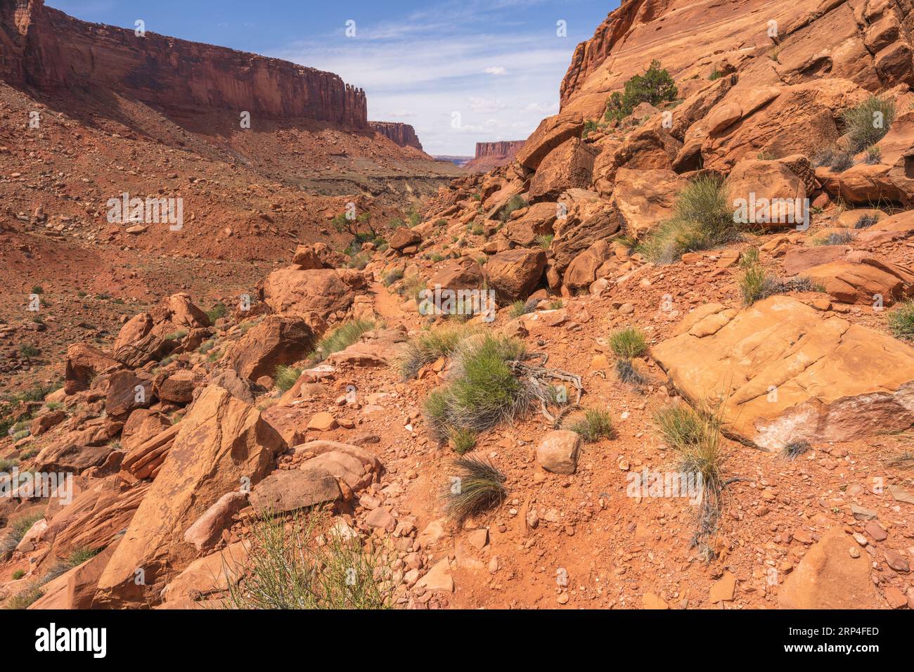 hiking the syncline loop trail in island in the sky district of canyonlands national park in utah, usa Stock Photo