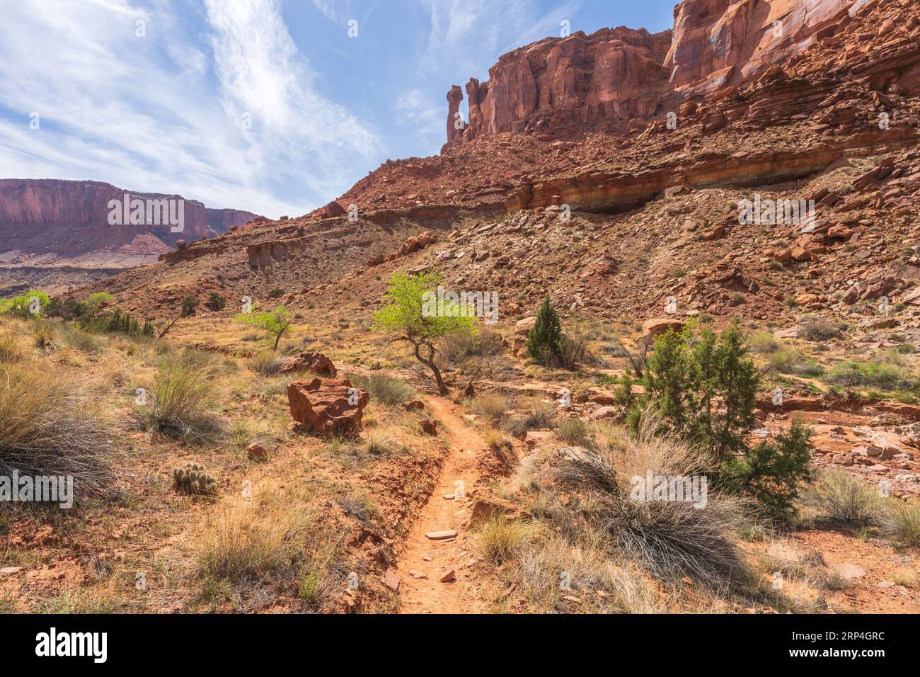 hiking the syncline loop trail in island in the sky district of canyonlands national park in utah, usa Stock Photo