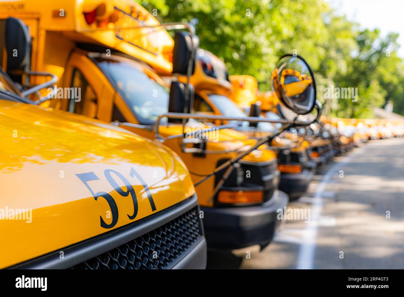 Front of a parked yellow school bus number 591 Stock Photo - Alamy