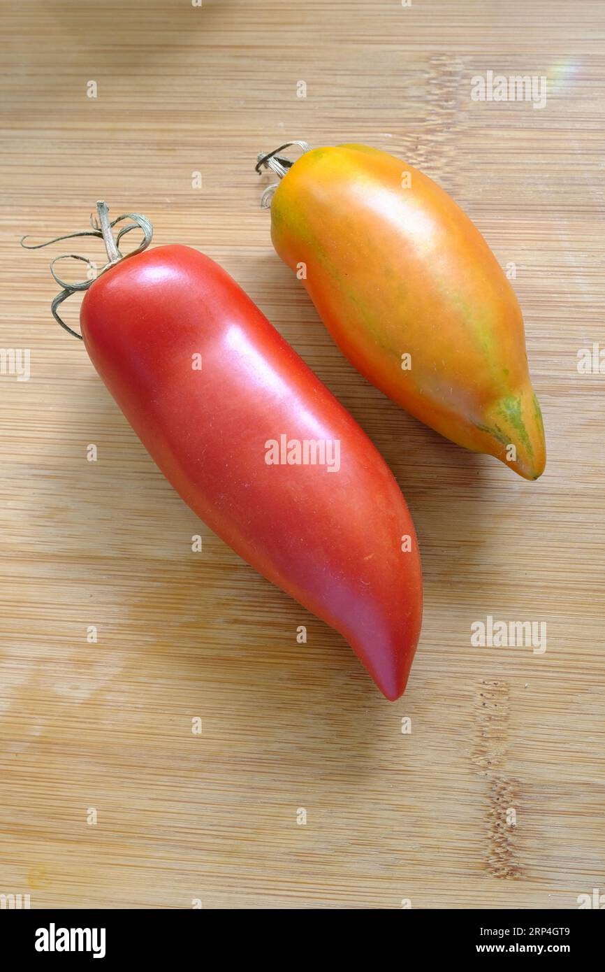 Pair of Witch Nose Long Tomatoes on wooden chopping board Stock Photo