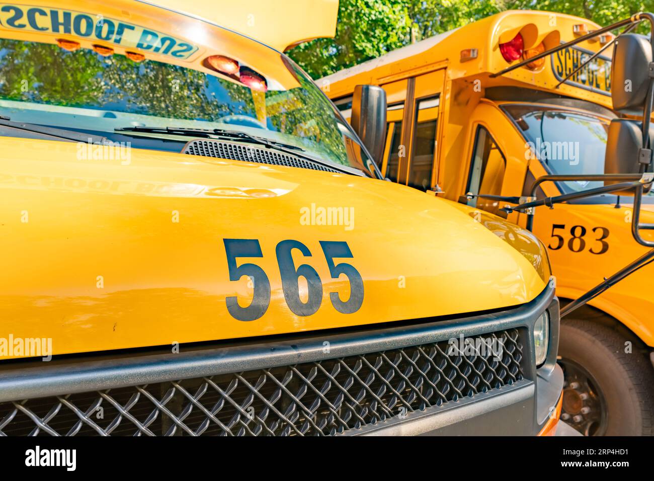 Front of a parked yellow school bus number 565 Stock Photo - Alamy