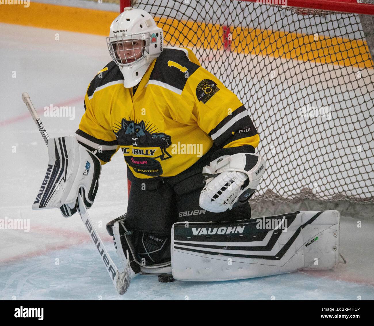 Lausanne, Vaud, Switzerland. 3rd Sep, 2023. Lausanne Switzerland, 09/03/2023: Louise Cardot (goalie) of Lausanne HC Women's (1) during Preparation match for the 2023-2024 women's season. Preparation match for the 2023-2024 women's season took place at the Vaudoise Cooly in Lausanne between Lausanne HC Women's and USTC HC Renards (Credit Image: © Eric Dubost/ZUMA Press Wire) EDITORIAL USAGE ONLY! Not for Commercial USAGE! Credit: ZUMA Press, Inc./Alamy Live News Stock Photo