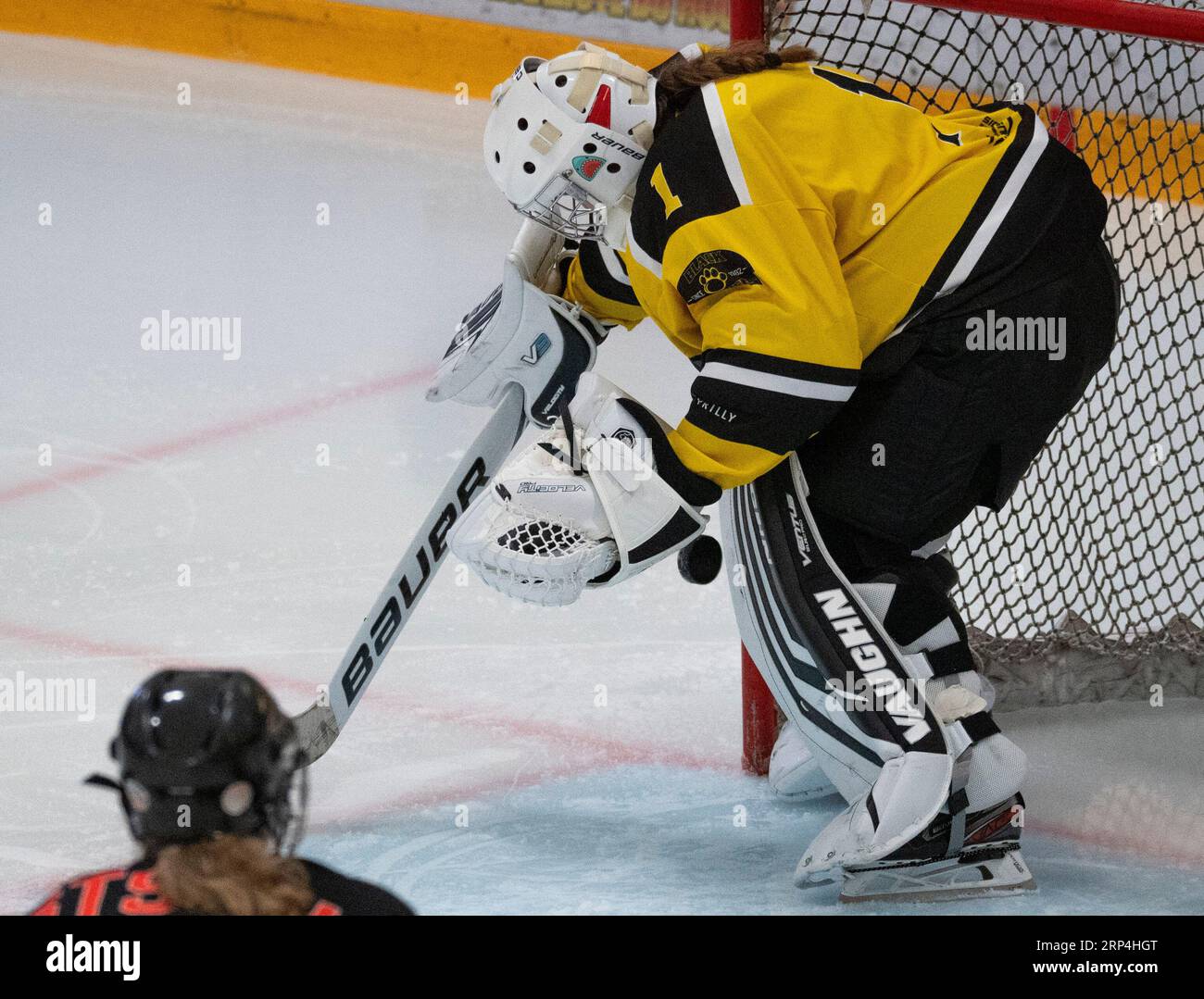 Lausanne, Vaud, Switzerland. 3rd Sep, 2023. Lausanne Switzerland, 09/03/2023: Louise Cardot (goalie) of Lausanne HC Women's (1) during Preparation match for the 2023-2024 women's season. Preparation match for the 2023-2024 women's season took place at the Vaudoise Cooly in Lausanne between Lausanne HC Women's and USTC HC Renards (Credit Image: © Eric Dubost/ZUMA Press Wire) EDITORIAL USAGE ONLY! Not for Commercial USAGE! Credit: ZUMA Press, Inc./Alamy Live News Stock Photo