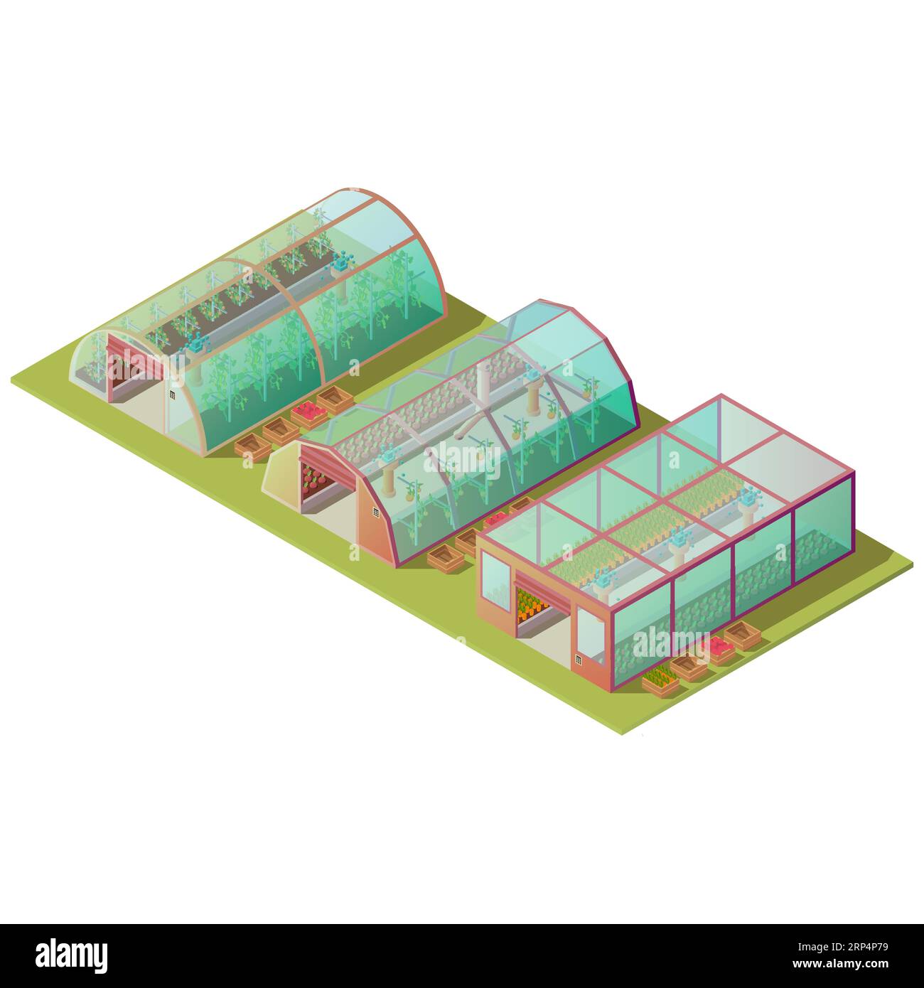 Isometric greenhouses set, farm hothouse buildings of different shapes for growing plants with glass windows and automatic lifting door isolated on wh Stock Vector