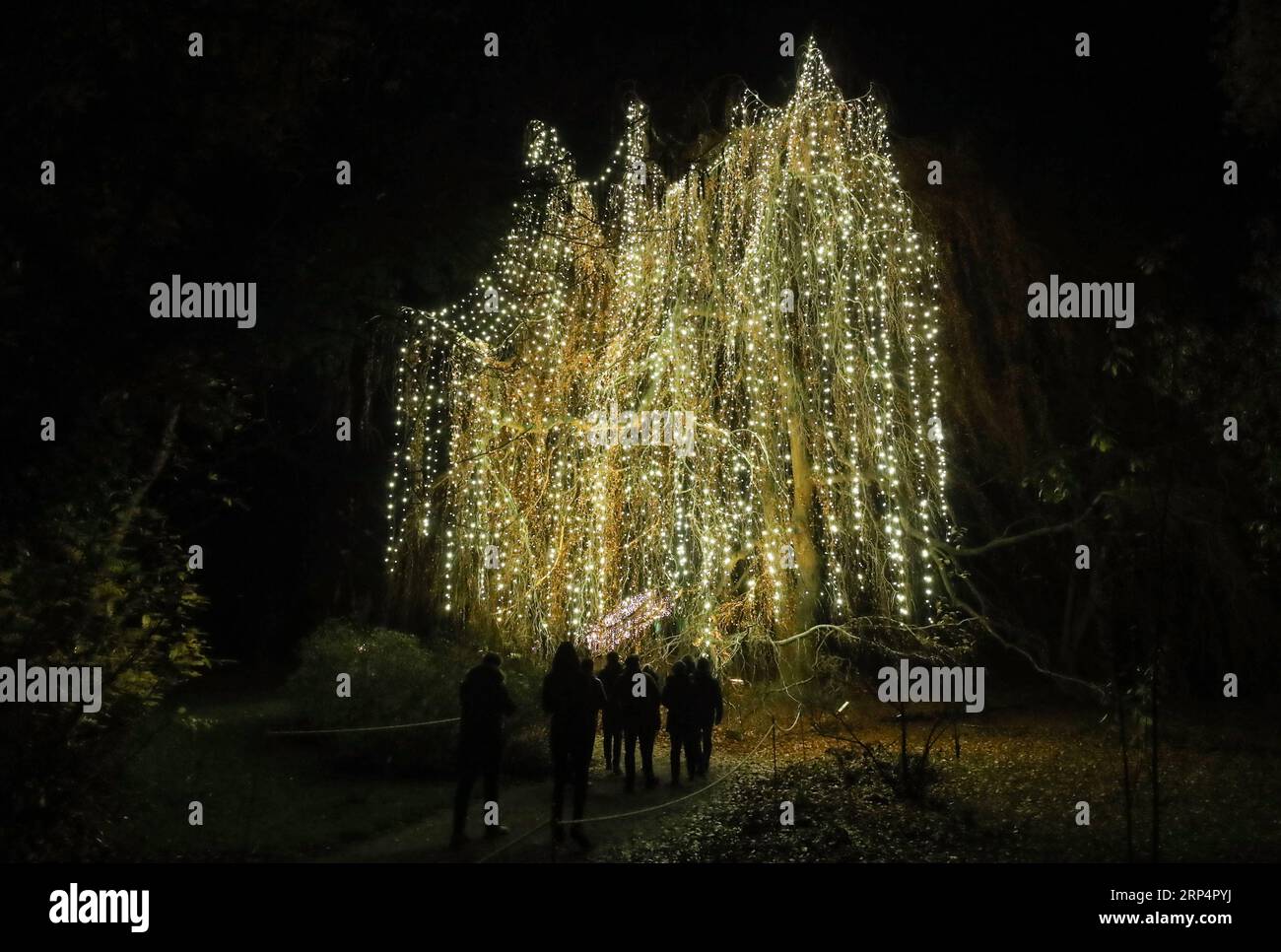 christmas-garden-berlin-hi-res-stock-photography-and-images-alamy