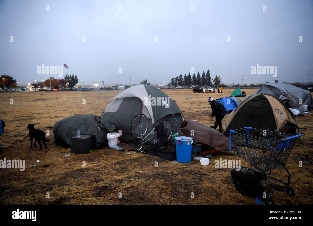 (181122) -- BUTTE, Nov. 22, 2018 (Xinhua) -- Residents live in tents at a parking lot in Chico of Butte County, California, the United States, Nov. 21, 2018. Local officials warned that the rain after the wildfire could cause risk of flash floods and mudflows. (Xinhua/Wu Xiaoling)(clq) U.S.-CALIFORNIA-BUTTE-WILDFIRE-RAIN PUBLICATIONxNOTxINxCHN Stock Photo