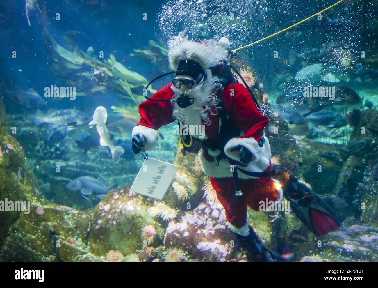 (181123) VANCOUVER, Nov. 23, 2018 A diver dressed as Scuba Santa