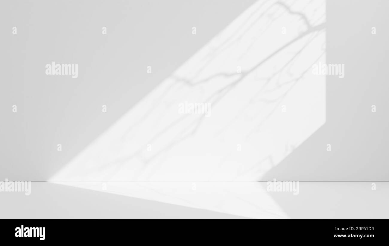 Abstract white studio background for product presentation. Empty room ...