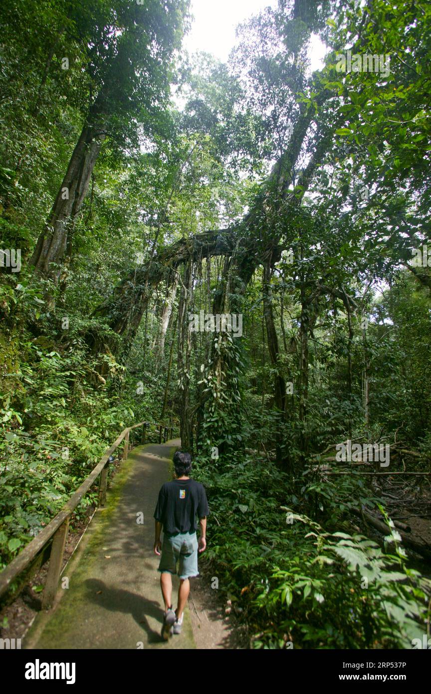 MALAYSIA SARAWAK Stock Photo