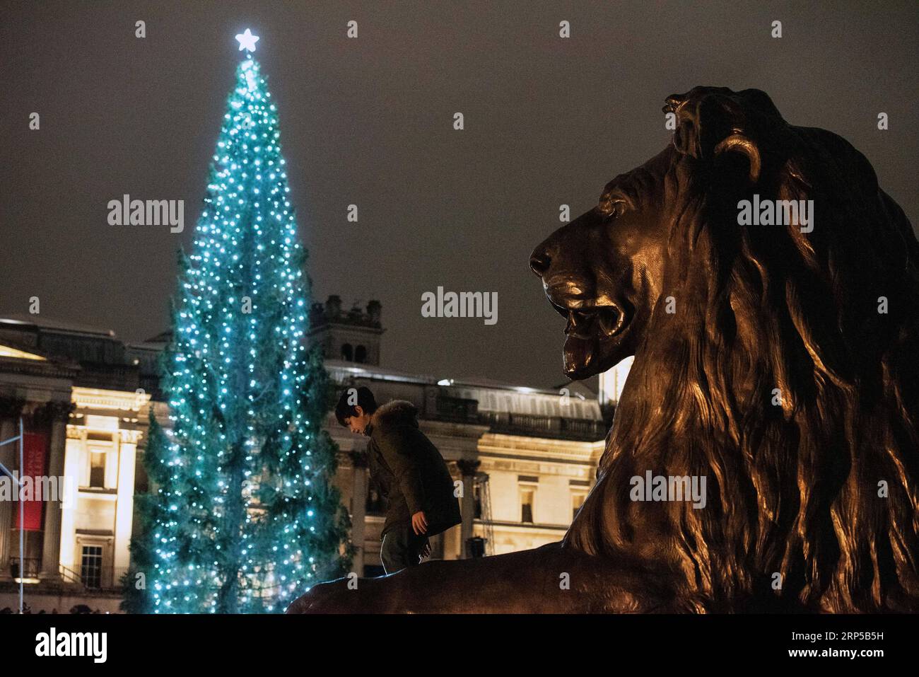 (181207) -- LONDON, Dec. 7, 2018 -- A boy plays near the Christmas tree at Trafalgar Square in London, Britain, on Dec. 6, 2018. Since 1947, Norway sends a Christmas tree to Britain as a gift every year to express the gratitude for the help offered by British people during the World War II. ) (zxj) BRITAIN-LONDON-TRAFALGAR SQUARE-CHRISTMAS TREE LIGHTING RayxTang PUBLICATIONxNOTxINxCHN Stock Photo