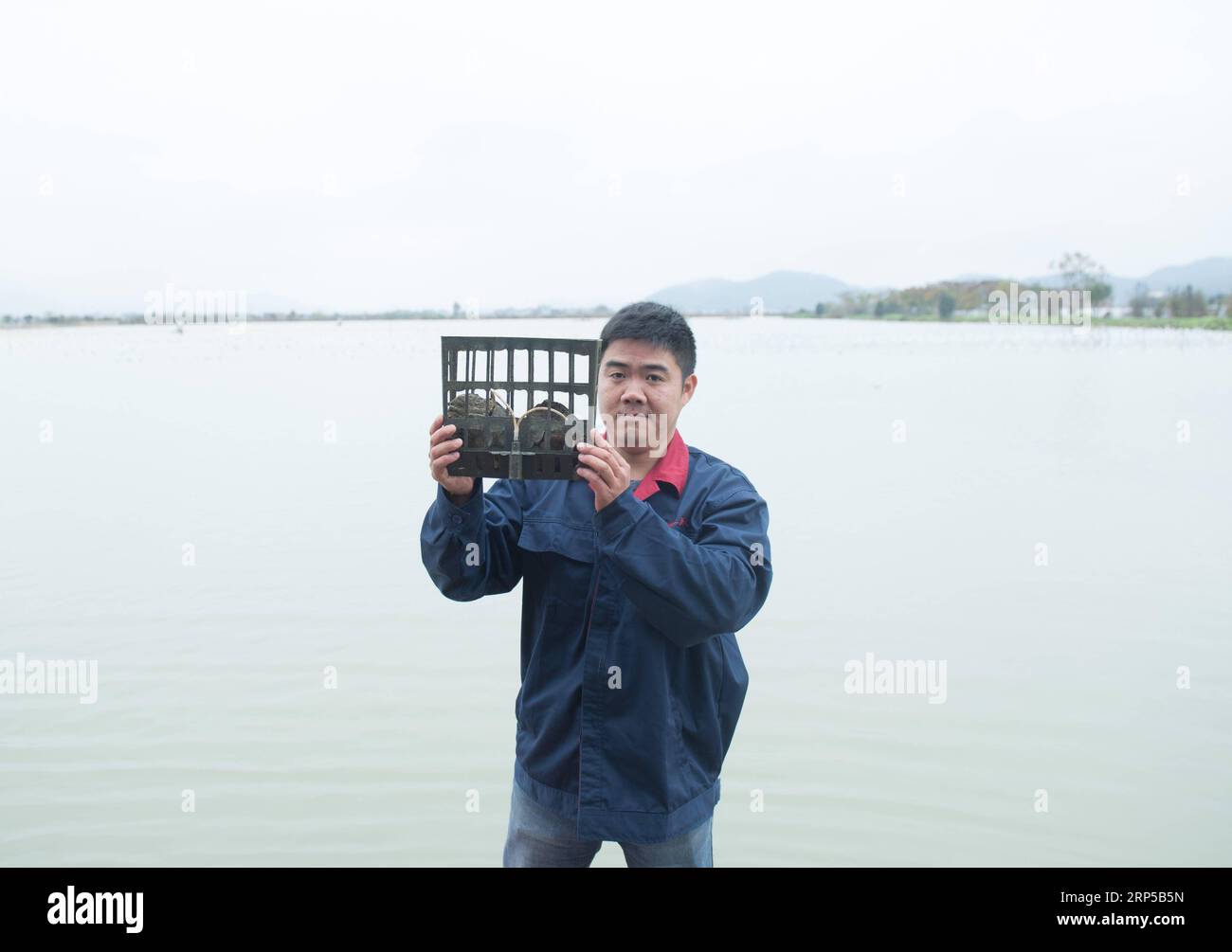 (181207) -- ZHUJI, Dec. 7, 2018 -- A worker shows pearl oysters receiving targeted feeding in Shanxiahu Village of Shanxiahu Town, Zhuji City of east China s Zhejiang Province, Dec. 6, 2018. Pearl industry in Zhuji has upgraded its development mode from polluted water cultivation to clean water cultivation through ways such as combination cultivation of fishes and oysters, tail water treatment. There are nowadays about 4,200 Mu (about 280 hectares) of pearls cultivated in Shanxiahu Town. ) (zwx) CHINA-ZHEJIANG-ZHUJI-PEARL INDUSTRY (CN) WengxXinyang PUBLICATIONxNOTxINxCHN Stock Photo