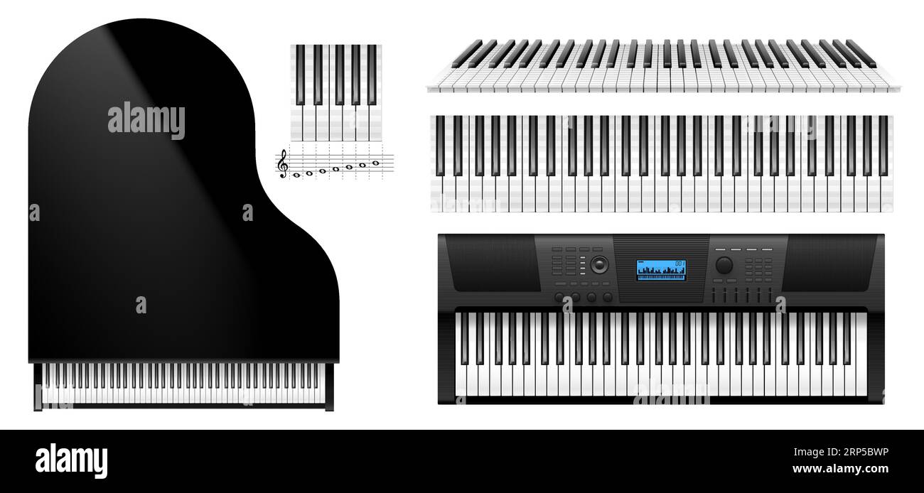 Piano keys top view. Realistic keyboard of classic piano instrument and