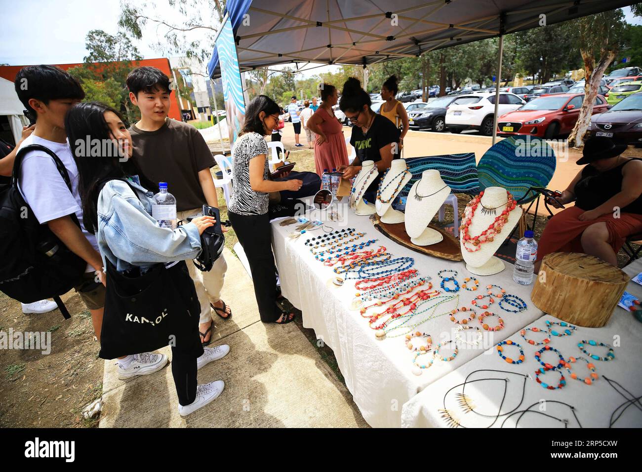 (181209) -- CANBERRA, Dec. 9, 2018 (Xinhua) -- People visit the Indigenous Art Market near National Museum in Canberra, Australia, on Dec. 8, 2018. The Indigenous Art Market was held here from Dec. 7 to Dec. 8, which gave an opportunity for people to encounter and engage in aboriginal culture and sought for support to aboriginal people in local and other communities. (Xinhua/Pan Xiangyue) (zxj) AUSTRALIA-CANBERRA-INDIGENOUS ART MARKET PUBLICATIONxNOTxINxCHN Stock Photo