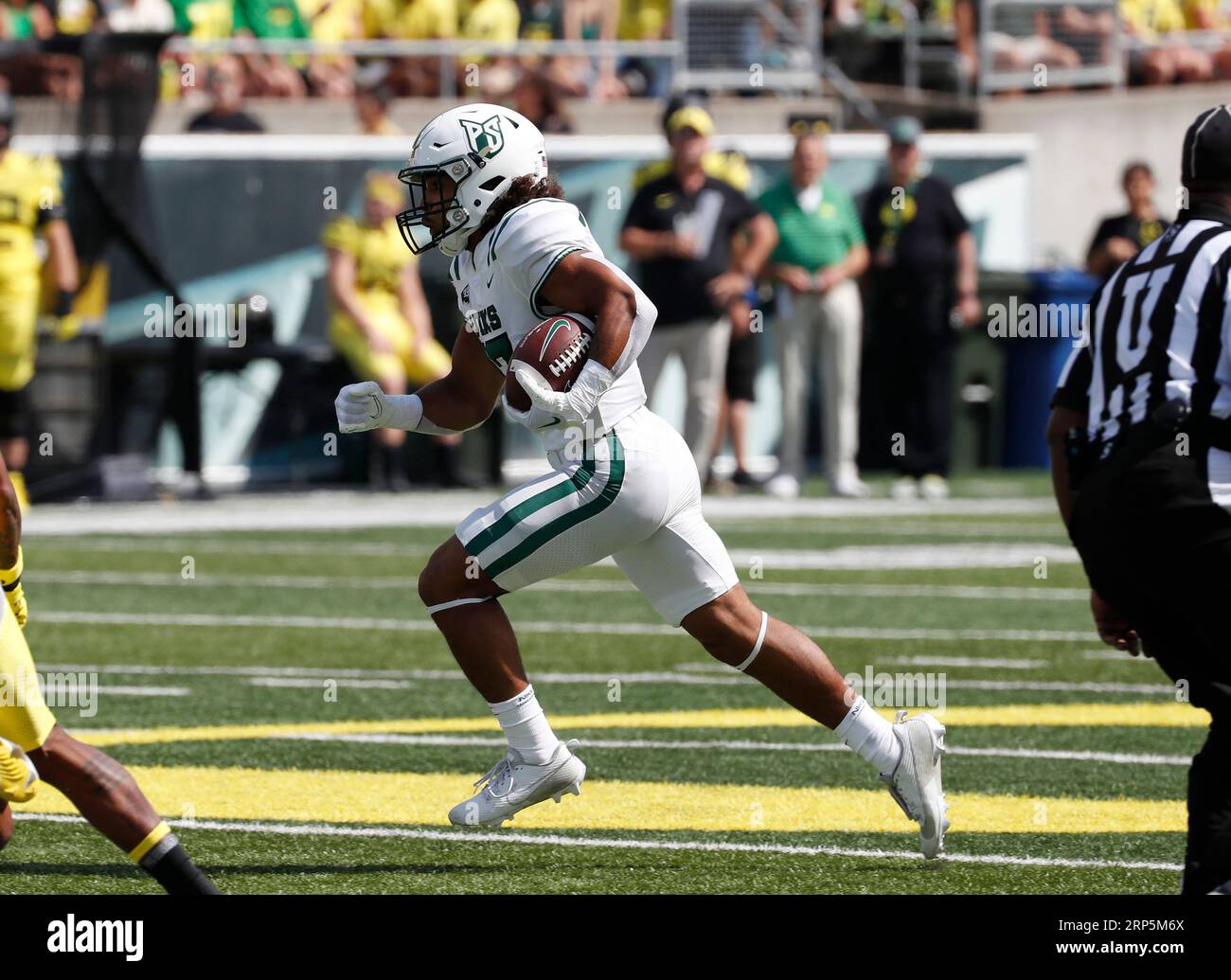 Autzen Stadium, Eugene, OR, USA. 2nd Sep, 2023. Portland State Vikings running back Quincy Craig (17) carries the ball during the NCAA football game between the Portland State Vikings and the University of Oregon Ducks at Autzen Stadium, Eugene, OR. Larry C. Lawson/CSM/Alamy Live News Stock Photo