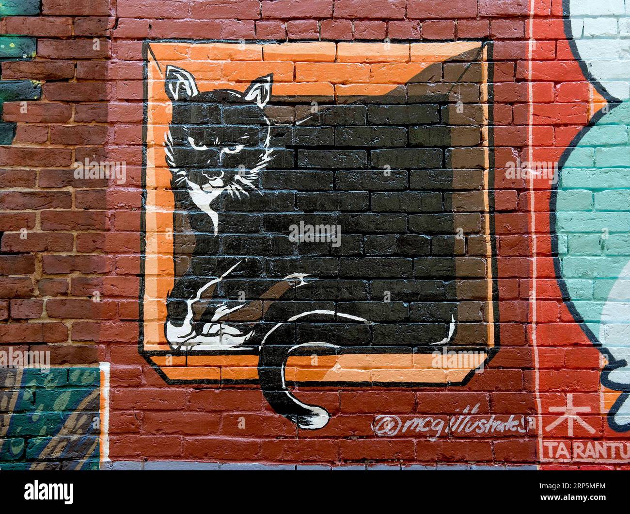 Manchester, New Hampshire, USA. 03rd Sep, 2023. A mural by Max Gagnon is among the feline-themed 