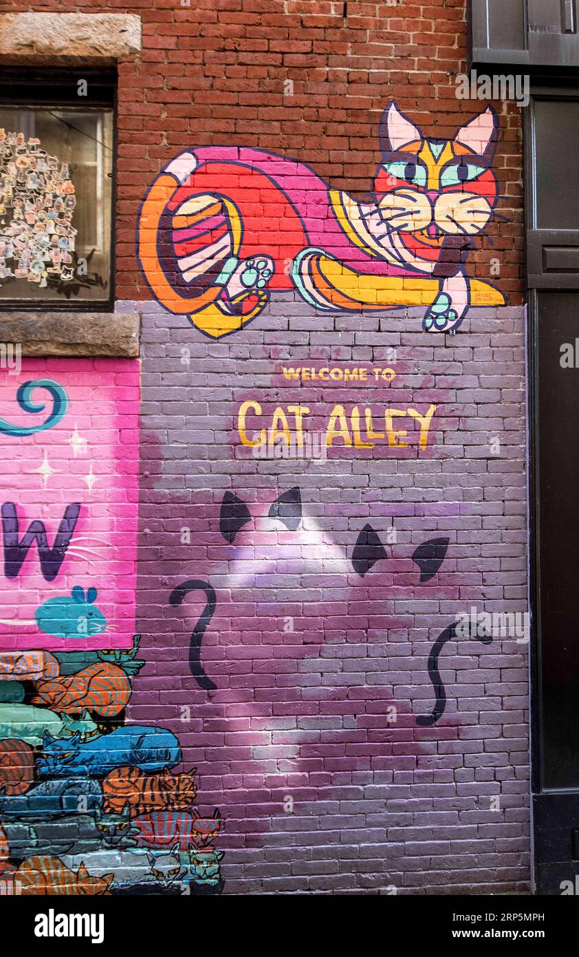 Manchester, New Hampshire, USA. 03rd Sep, 2023. Feline-themed art lines Cat Alley in downtown 