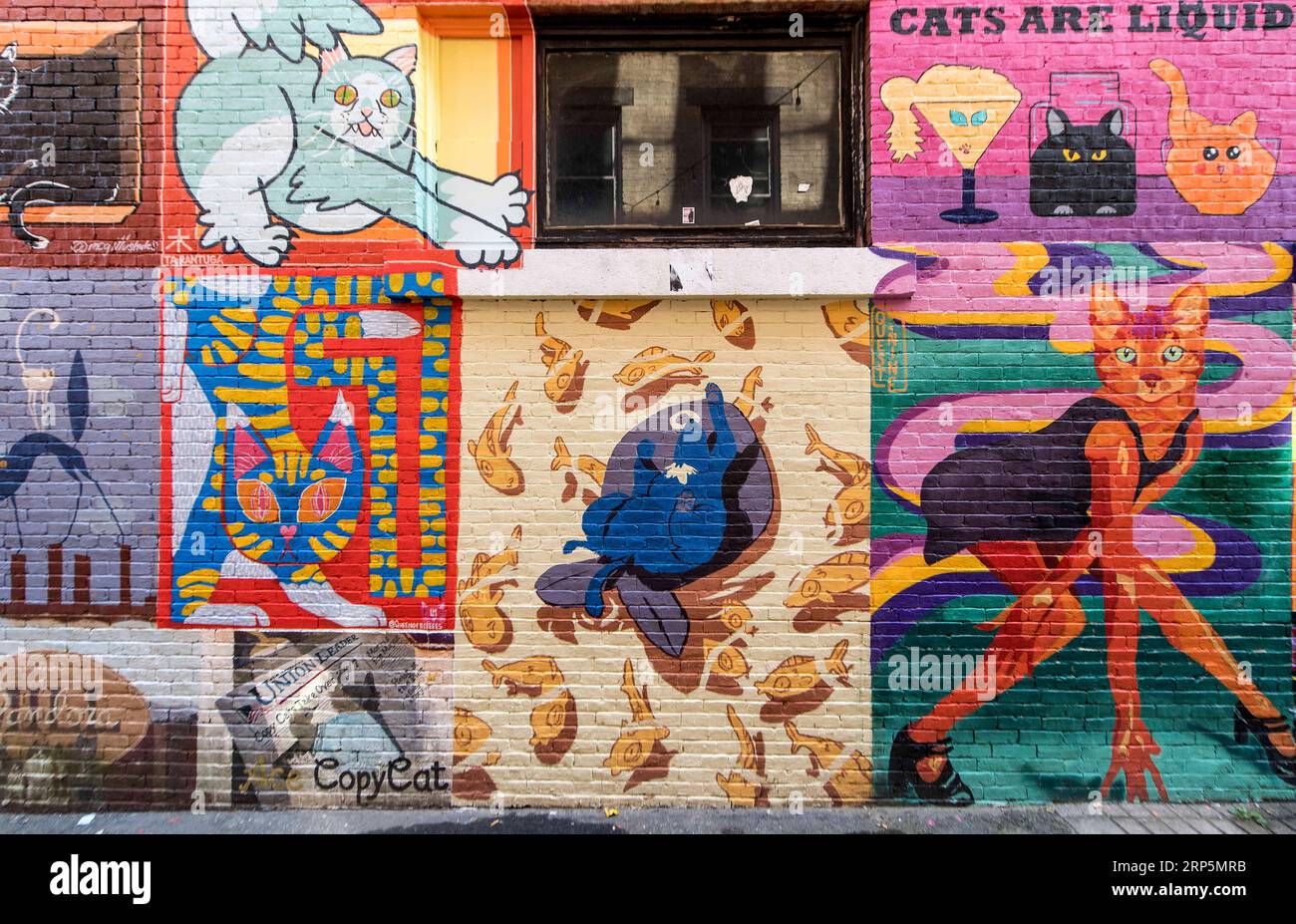 Manchester, New Hampshire, USA. 03rd Sep, 2023. Feline-themed art lines Cat Alley in downtown 