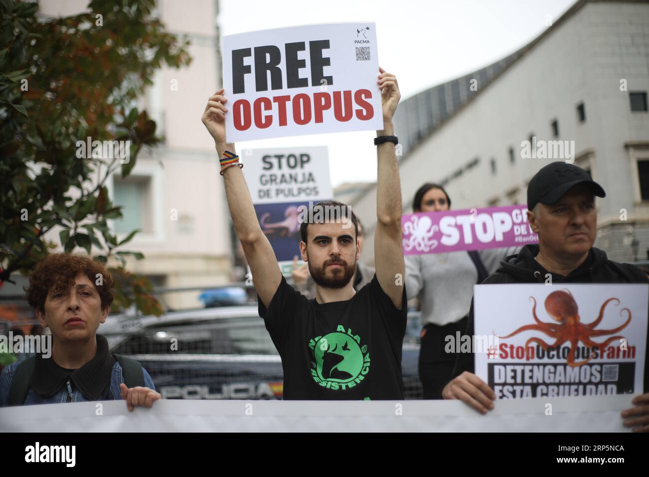 Octopus in company hi-res stock photography and images - Alamy