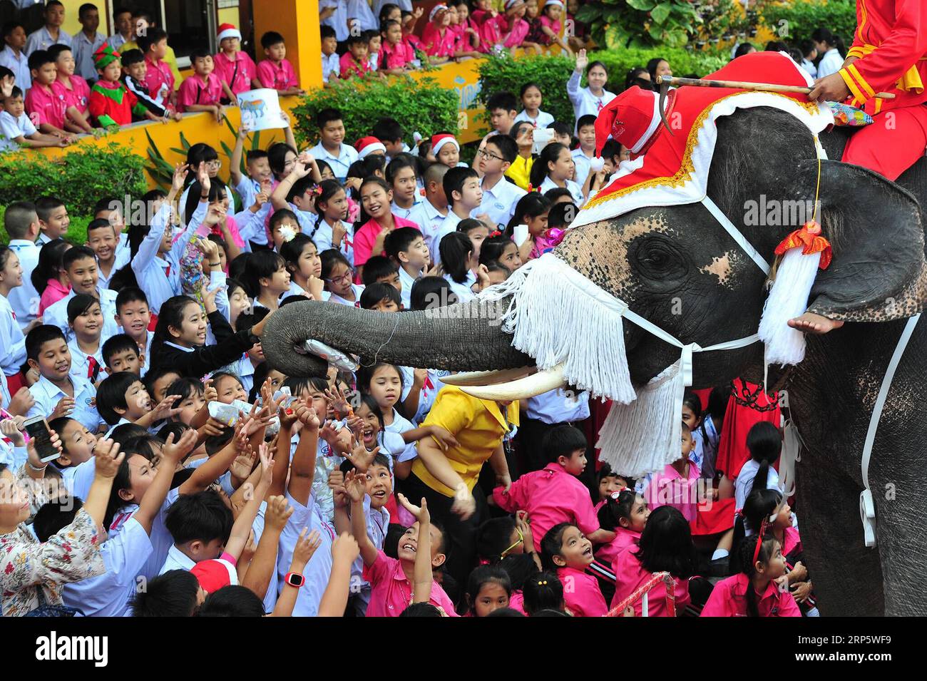 (181224) -- AYUTTHAYA, Dec. 24, 2018 (Xinhua) -- An elephant distributes gifts to students during Christmas celebrations at a school in Ayutthaya province, Thailand, Dec. 24, 2018. The annual event is held to celebrate Christmas and promote tourism in Ayutthaya. (Xinhua/Rachen Sageamsak) THAILAND-AYUTTHAYA-CHRISTMAS PUBLICATIONxNOTxINxCHN Stock Photo