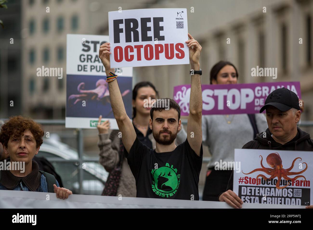 Madrid, Spain. 03rd Sep, 2023. A protester holds a placard that reads 'Free octopus', during a demonstration in front of the Congress of Deputies, in Madrid. A protest against the operation of the first industrial octopus farm located in Las Palmas de Gran Canaria is staged in the center of Madrid. (Photo by Luis Soto/SOPA Images/Sipa USA) Credit: Sipa USA/Alamy Live News Stock Photo