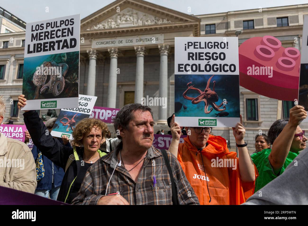 Madrid, Spain. 03rd Sep, 2023. Protesters hold placards and banners expressing their opinion during a demonstration in front of the Congress of Deputies, in Madrid. A protest against the operation of the first industrial octopus farm located in Las Palmas de Gran Canaria is staged in the center of Madrid. (Photo by Luis Soto/SOPA Images/Sipa USA) Credit: Sipa USA/Alamy Live News Stock Photo