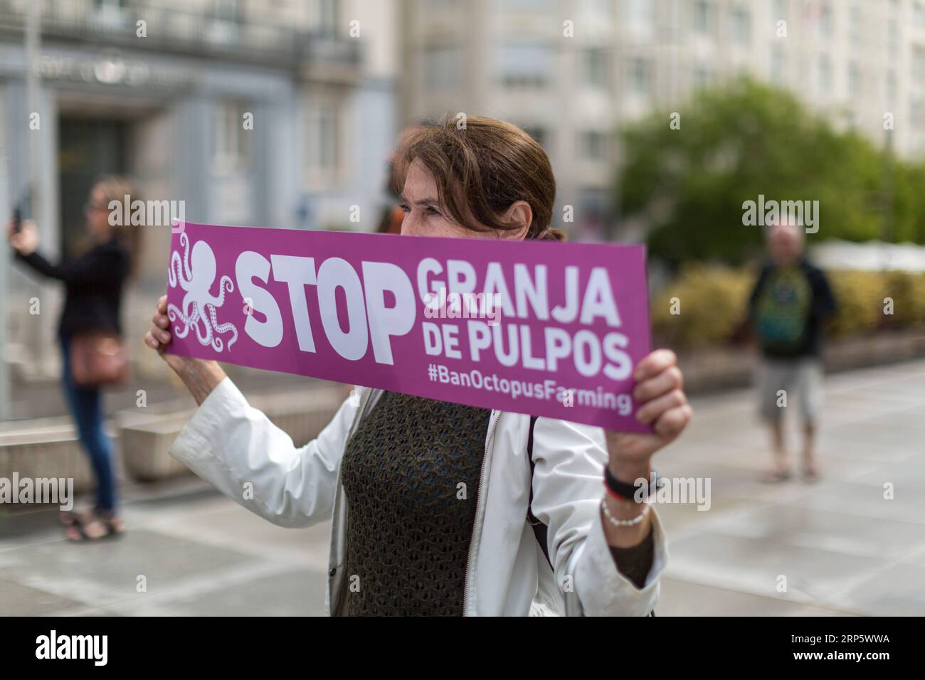 Madrid, Spain. 03rd Sep, 2023. A protester holds a banner that reads 'Stop octopus farm', during a demonstration in front of the Congress of Deputies, in Madrid. A protest against the operation of the first industrial octopus farm located in Las Palmas de Gran Canaria is staged in the center of Madrid. (Photo by Luis Soto/SOPA Images/Sipa USA) Credit: Sipa USA/Alamy Live News Stock Photo
