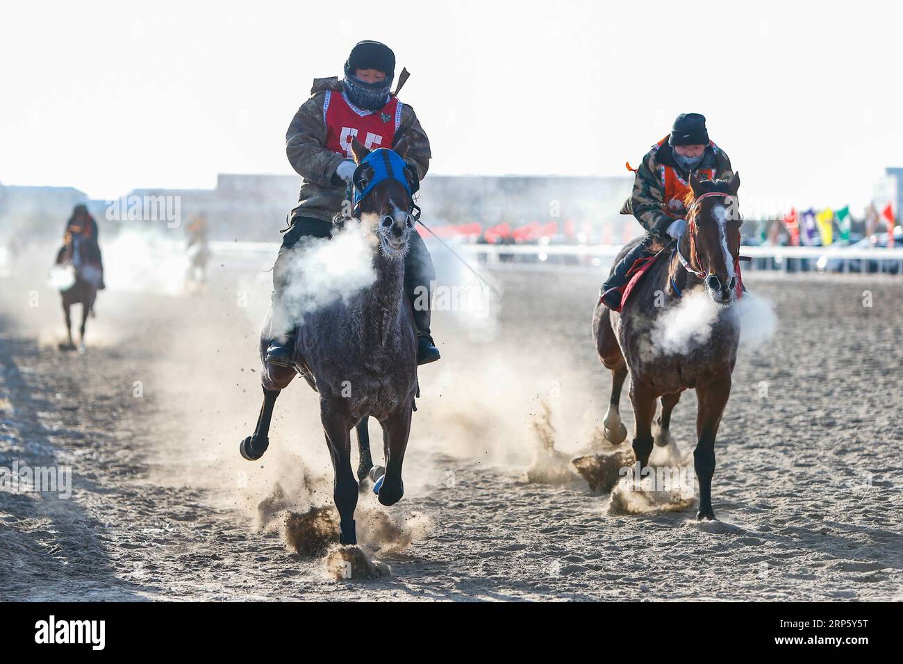 Ju Wenjun Champion In Four-Horse Race 