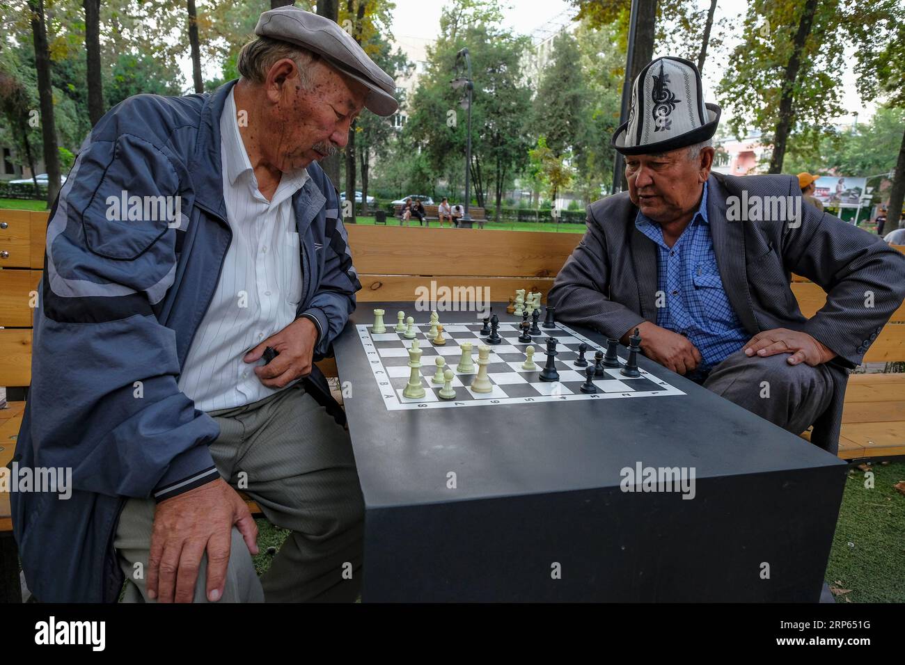 People playing chess park hi-res stock photography and images - Page 3 -  Alamy