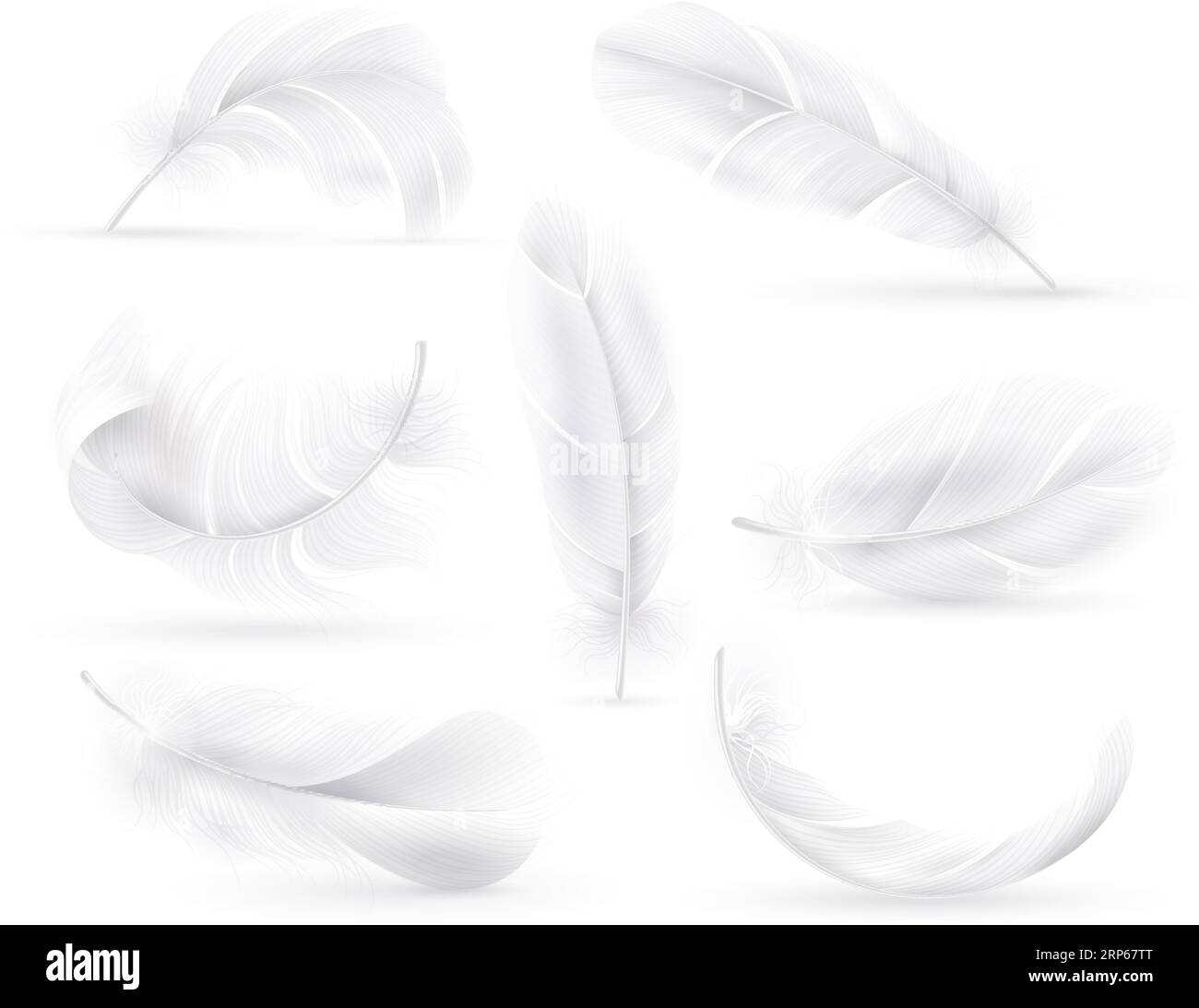 Realistic white feathers. Falling fluffy twirled bird or angel wings
